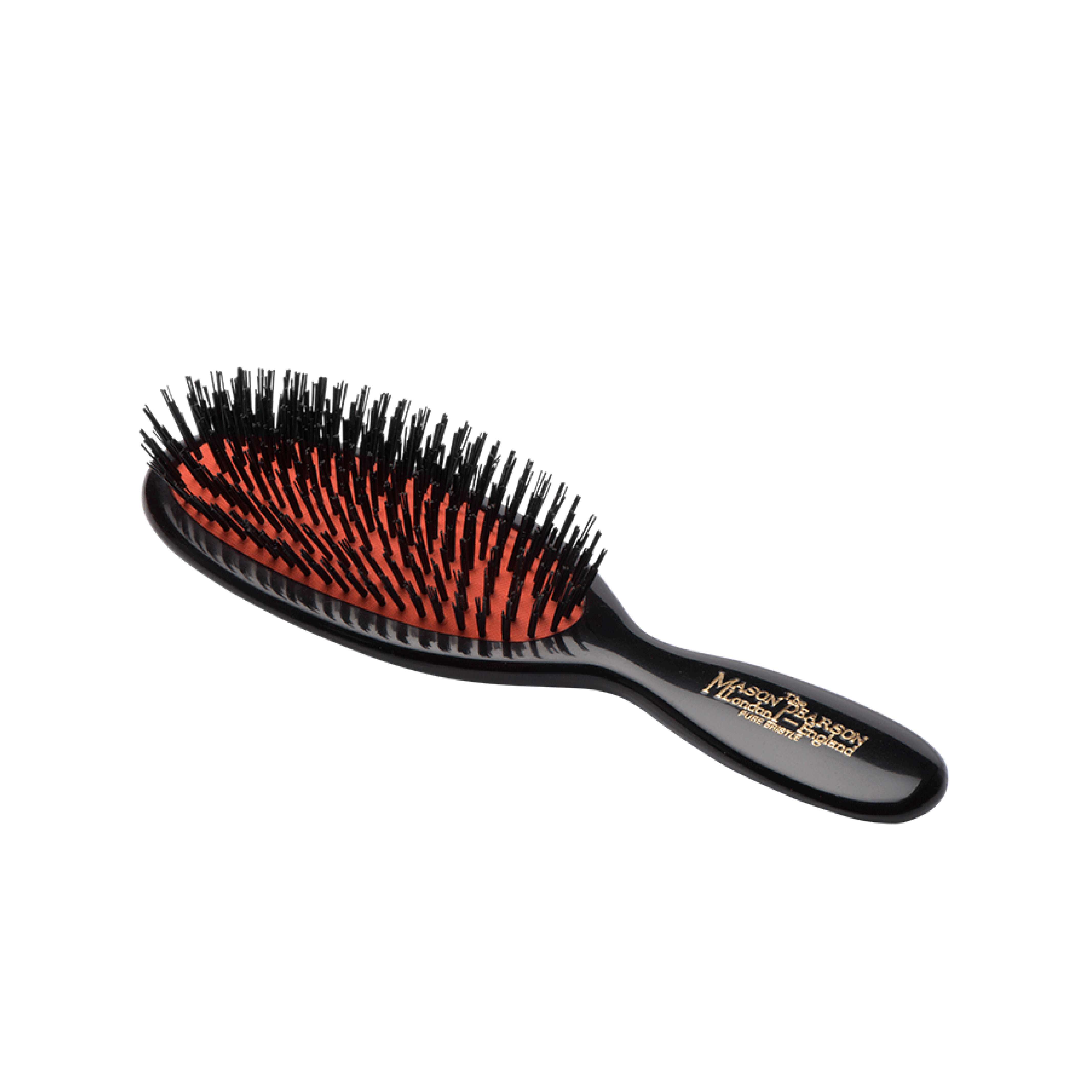 B4, Pocket Bristle