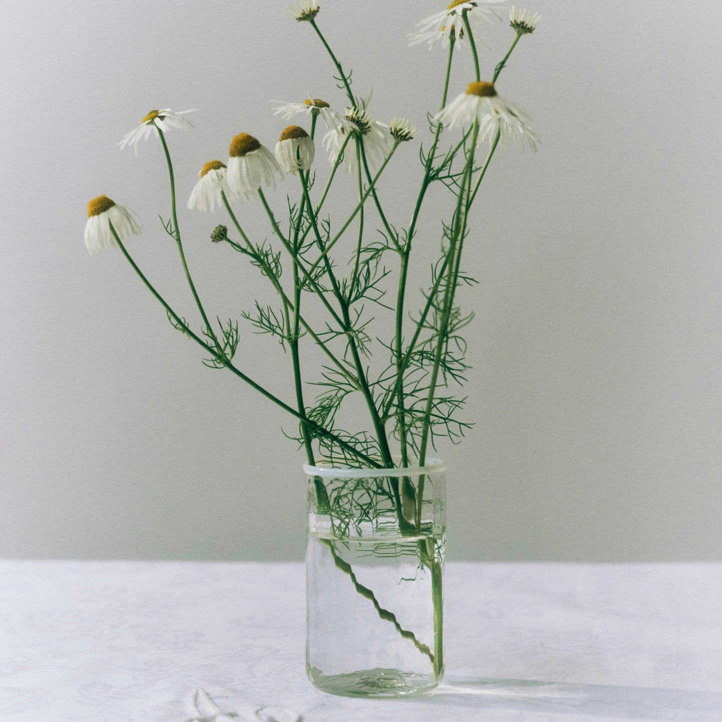 Peter Small Glass, White