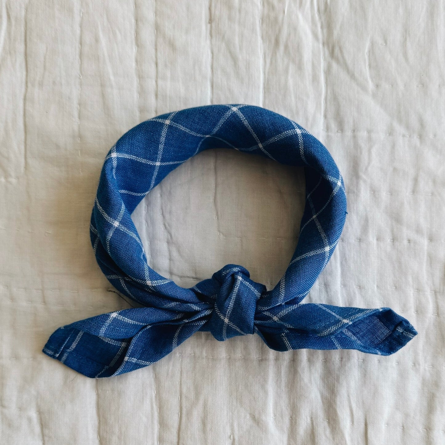 Eddie Scarf, Art Blue