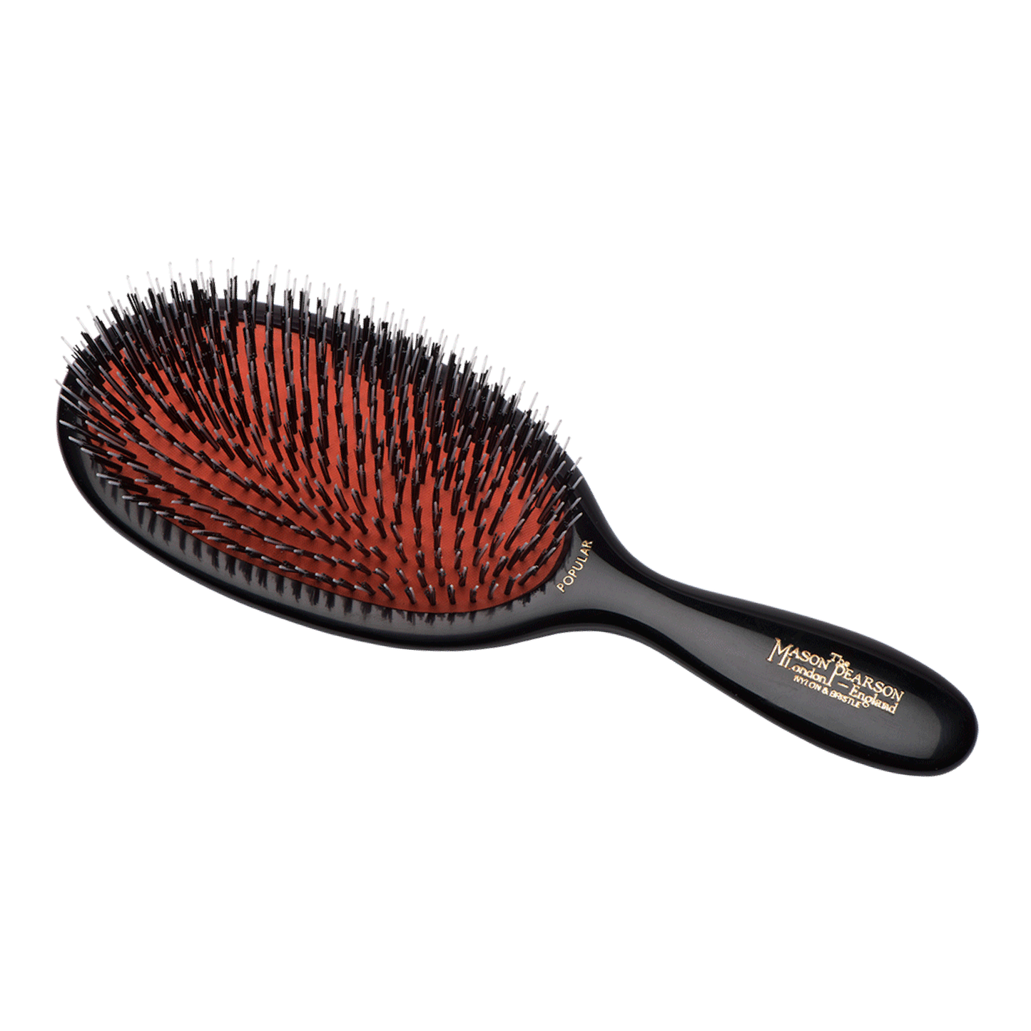 BN1, Popular Bristle & Nylon