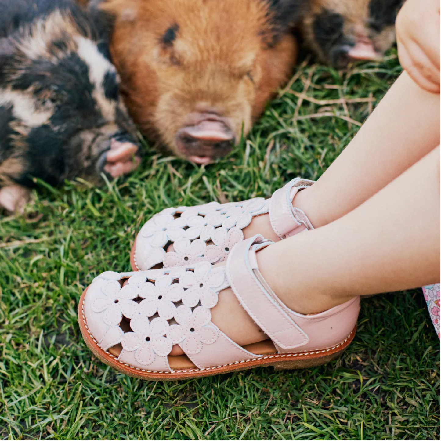 Sandal Med Blomster Og Velcrolukning, Rosebud