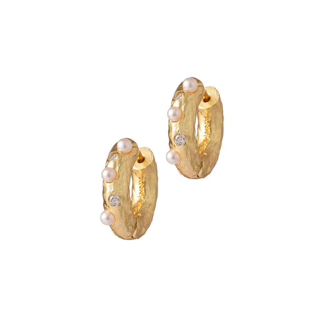 Gem in a Hoop Earrings, Gold Plated