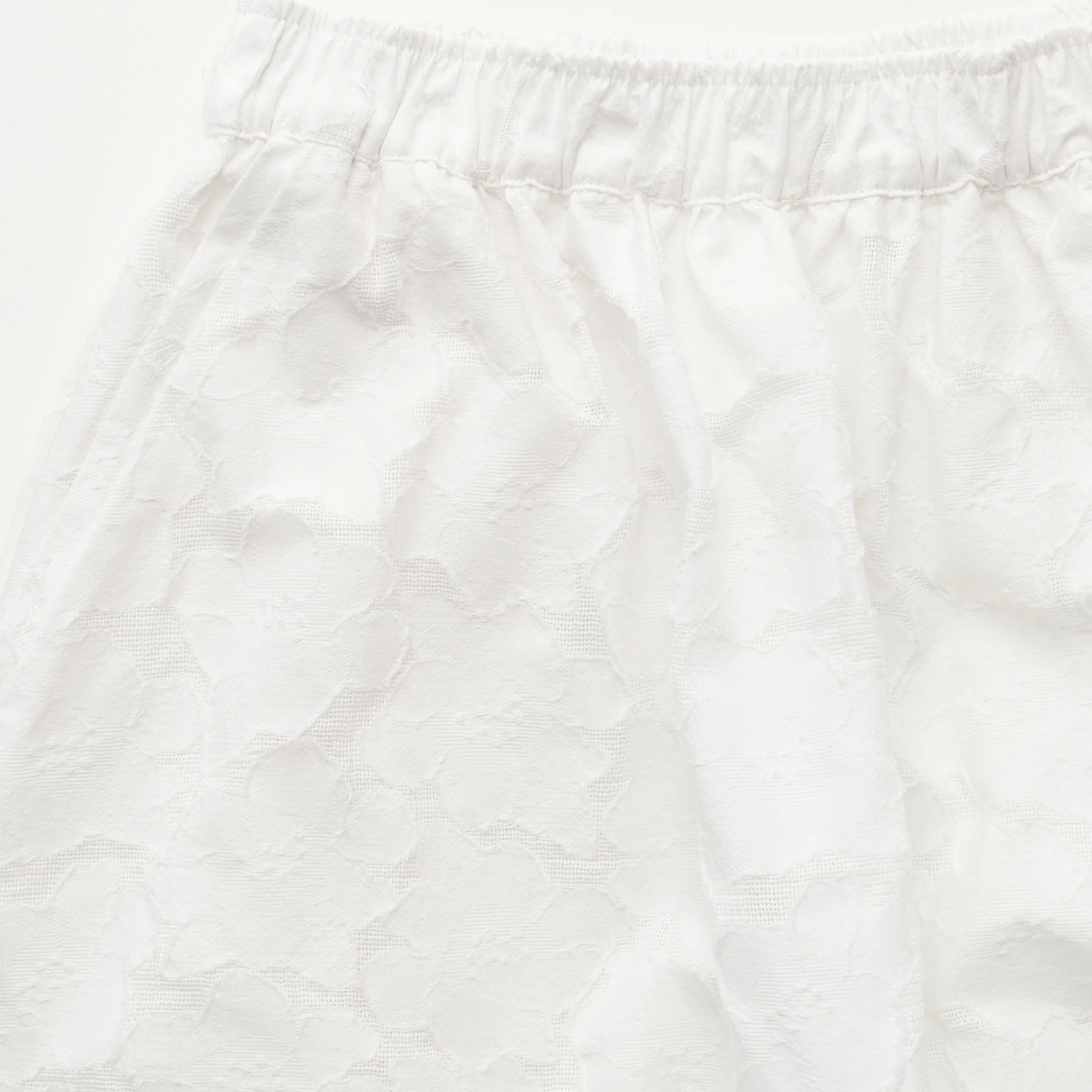 Skirt Laceflower, White