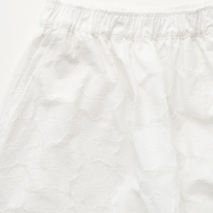 Skirt Laceflower, White