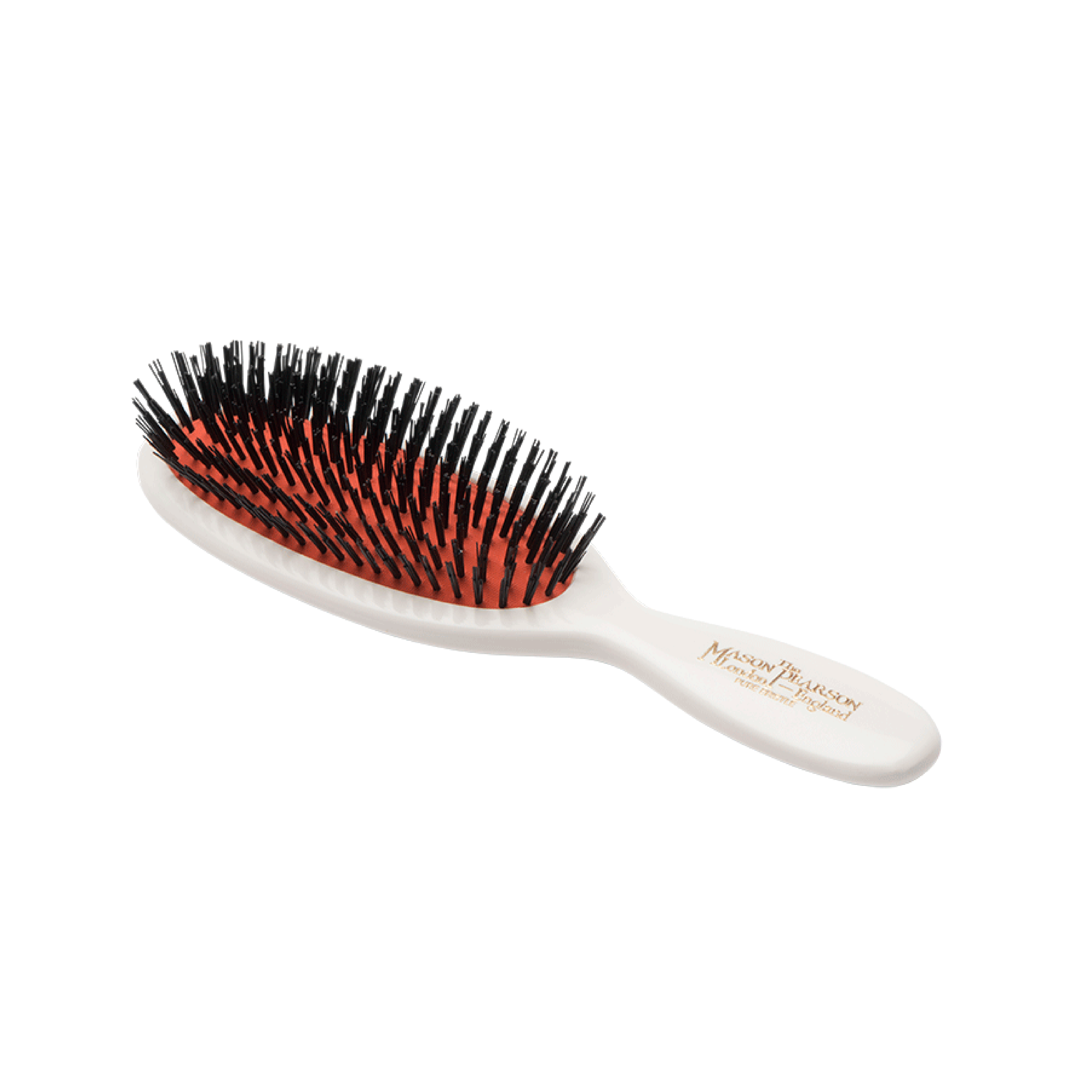 B4, Pocket Bristle