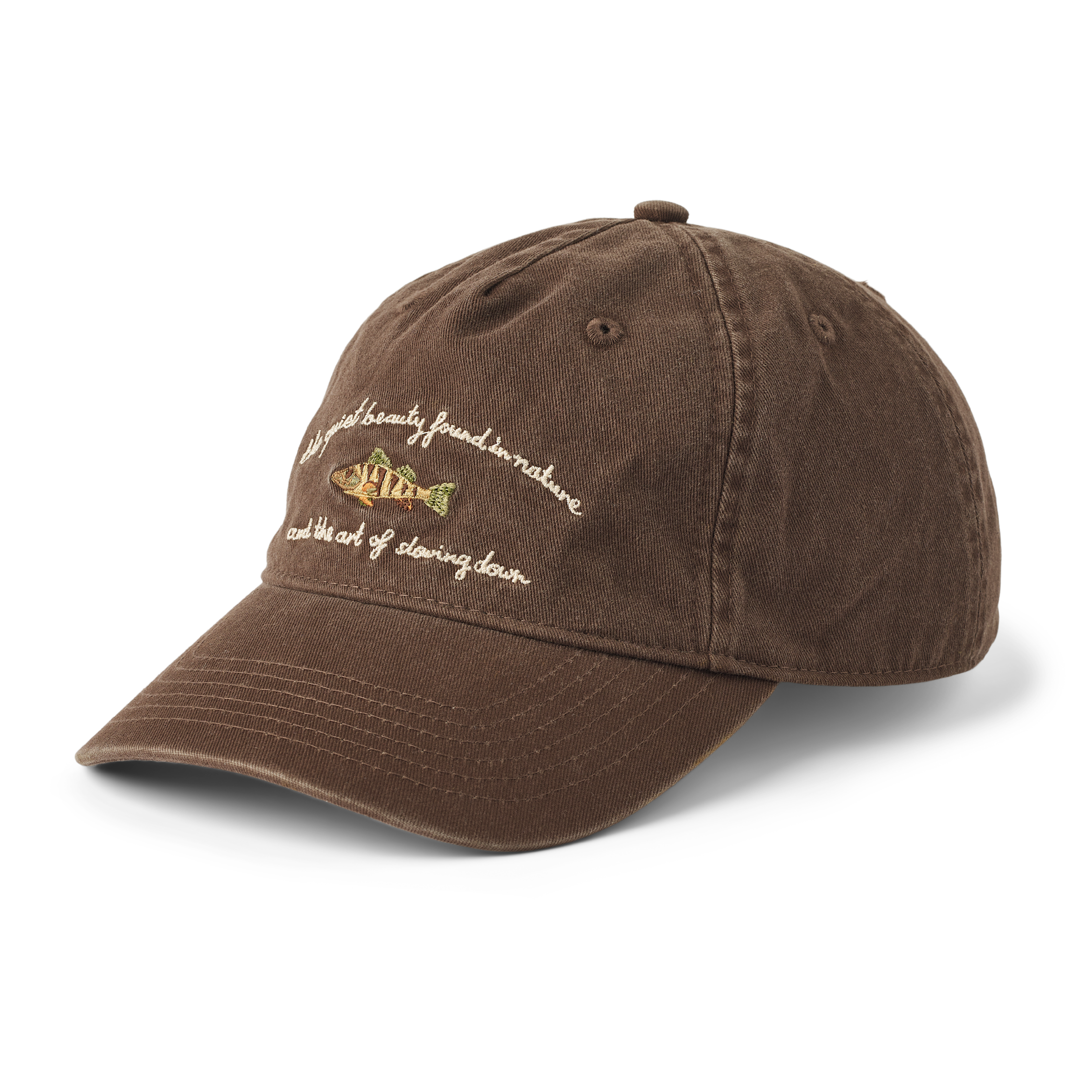 Fish Washed Cap, Dark Brown