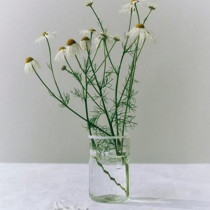 Peter Small Glass, White (Sæt á 4)