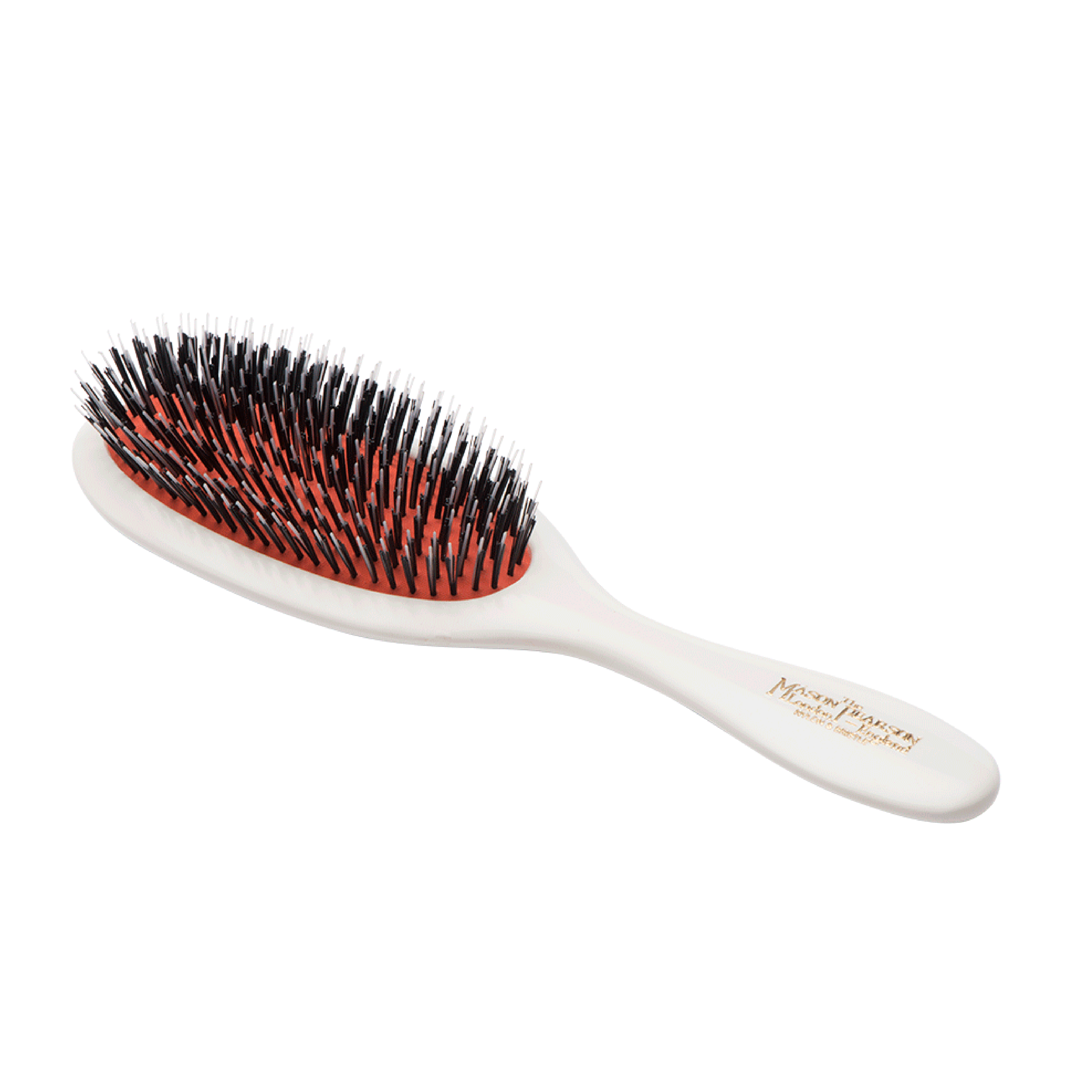 BN3, Handy Bristle & Nylon