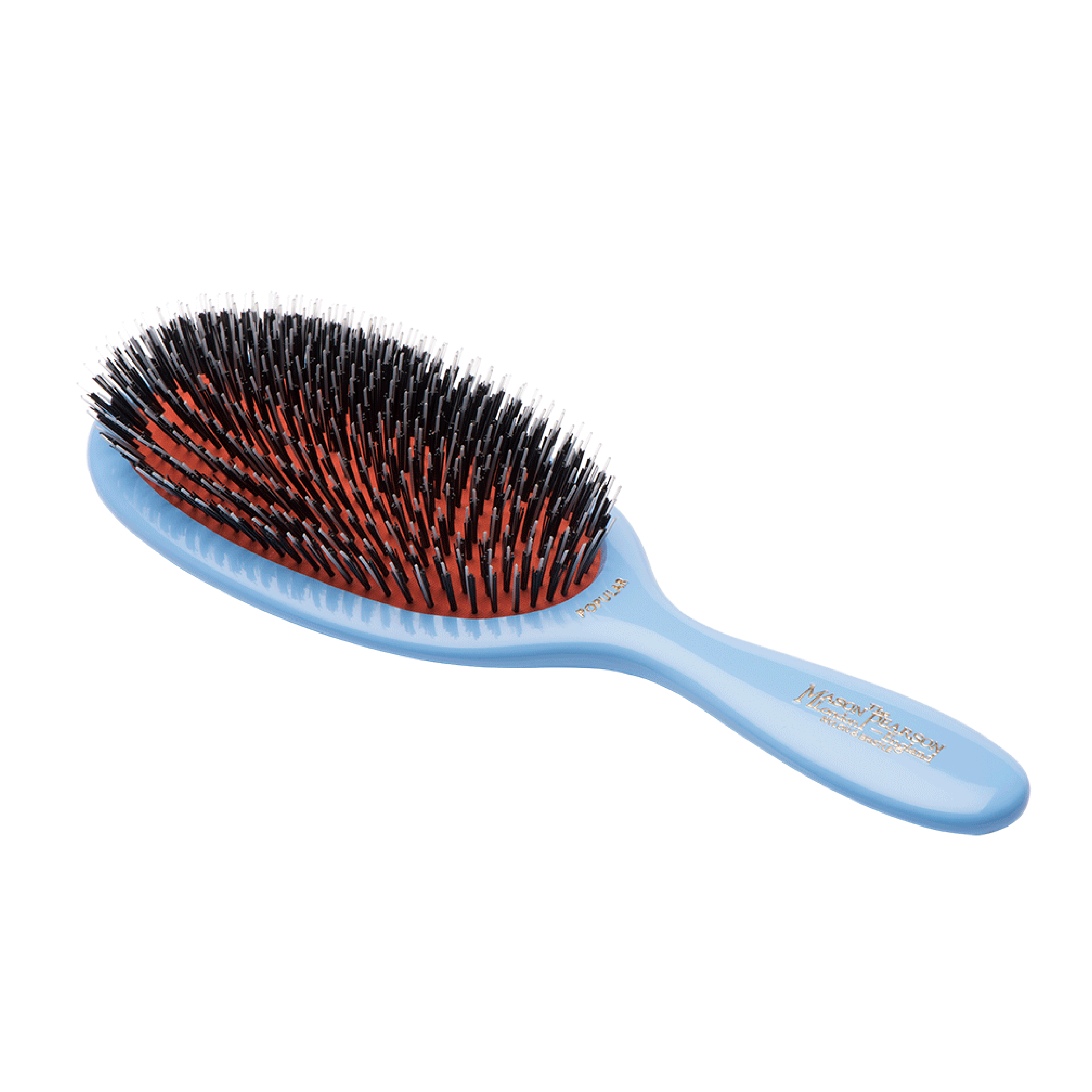 BN1, Popular Bristle & Nylon